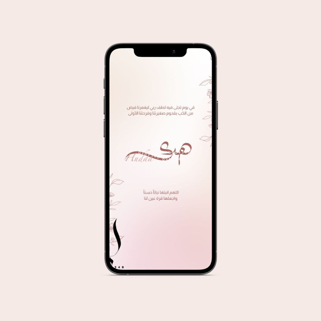 فلتر فيدو (3)
